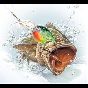 Meet your Posher, Ethan